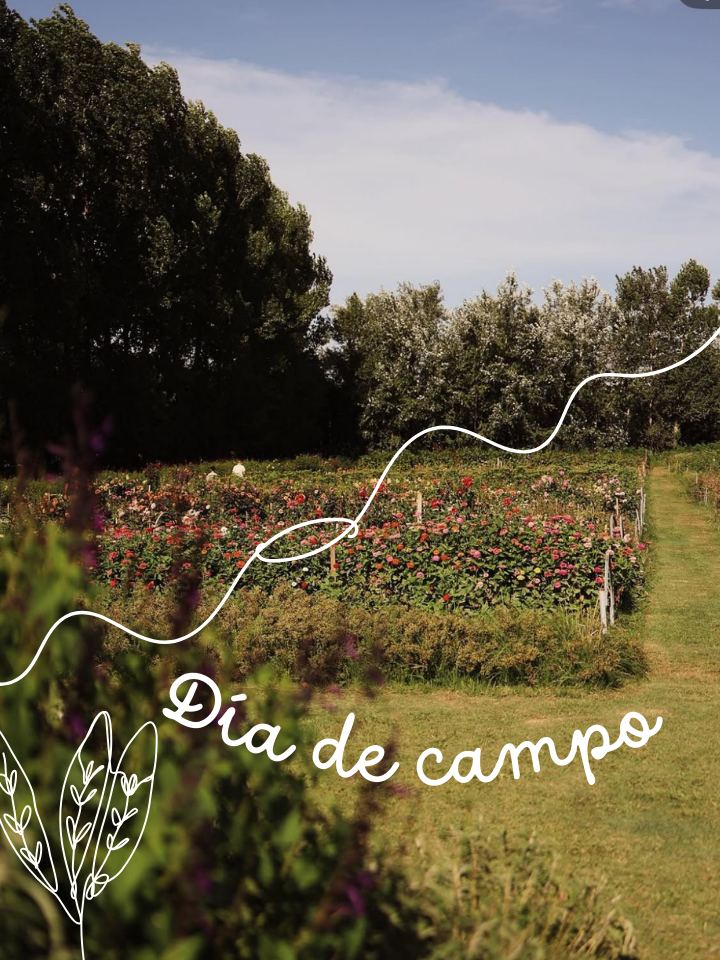 Evento 5 de Octubre: Retiro de 1 día, en Campo de flores- Córdoba- “Tejido, flores y creatividad”